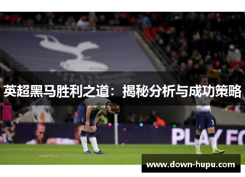 英超黑马胜利之道:揭秘分析与成功策略 英超黑马胜利之道:揭秘分析与成功策略