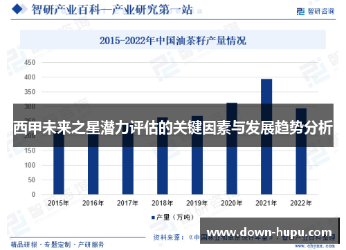 西甲未来之星潜力评估的关键因素与发展趋势分析